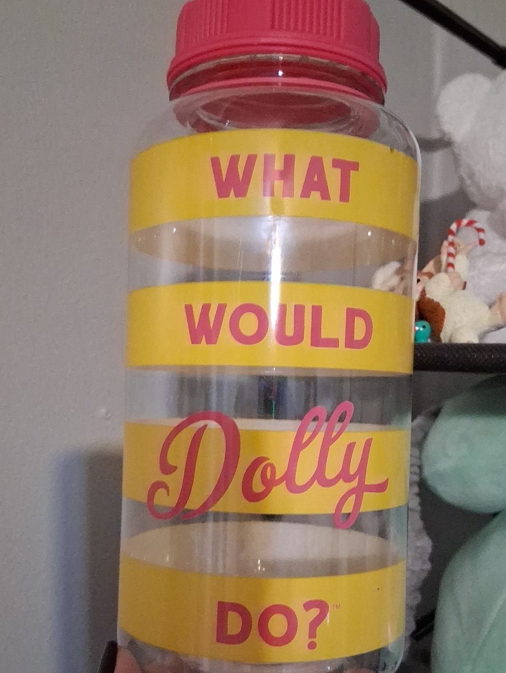 What Would Dolly Do? Pink & Yellow Acrylic Water Bottle